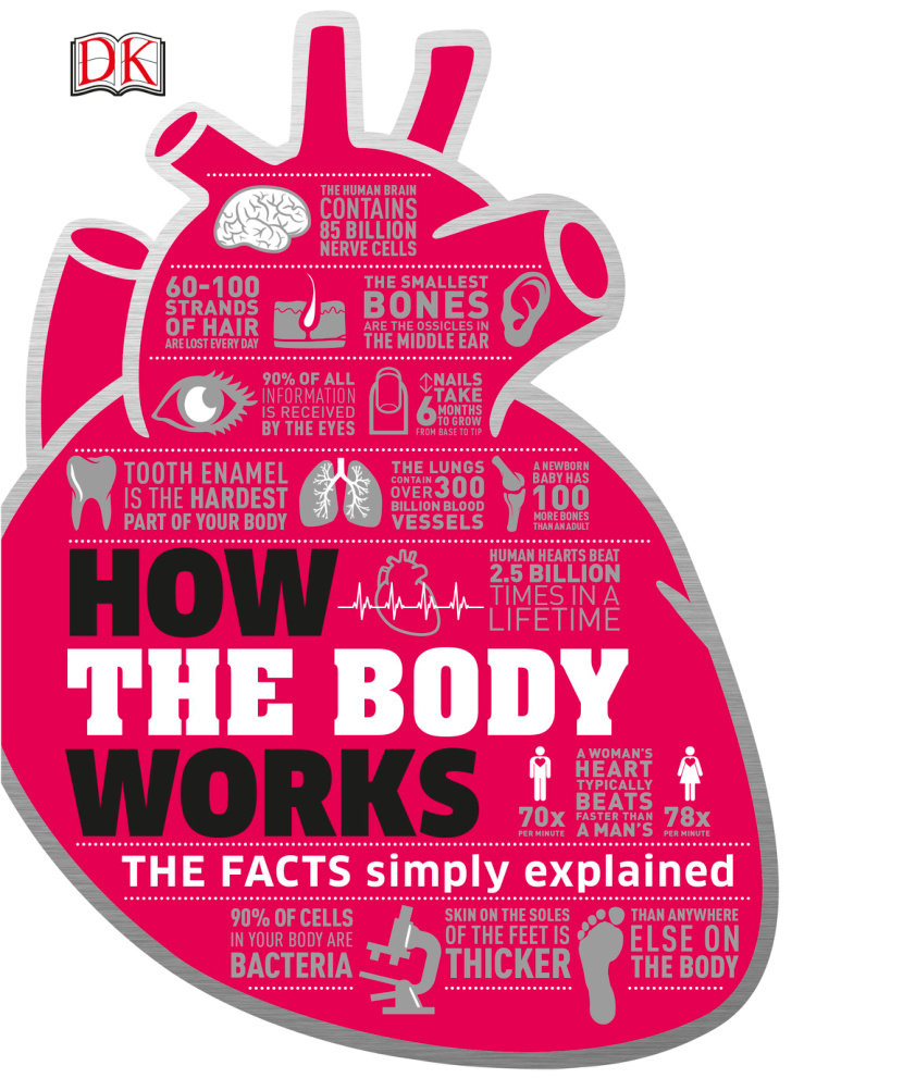 How the Body Works PDF Download