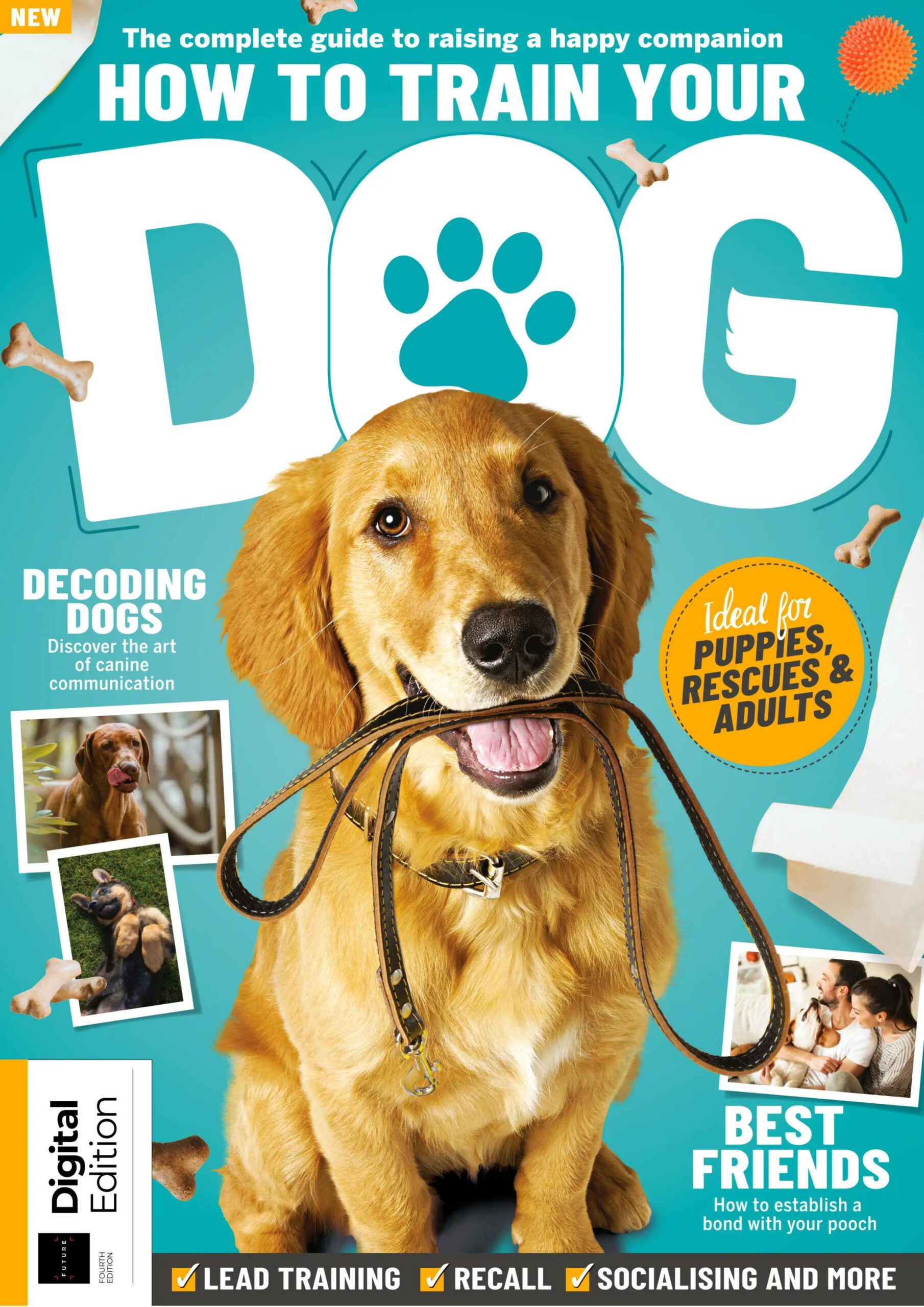 How to Train Your Dog 4rd Edition 2026 PDF Download