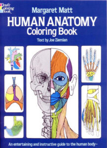 Human Anatomy Coloring Book Margaret Matt, Joe Z Library Kitap Kapağı