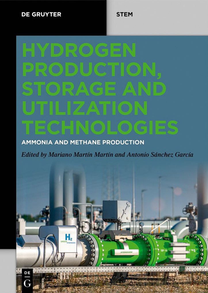 Hydrogen Production Storage Mariano Martin Martin Kitap Kapağı