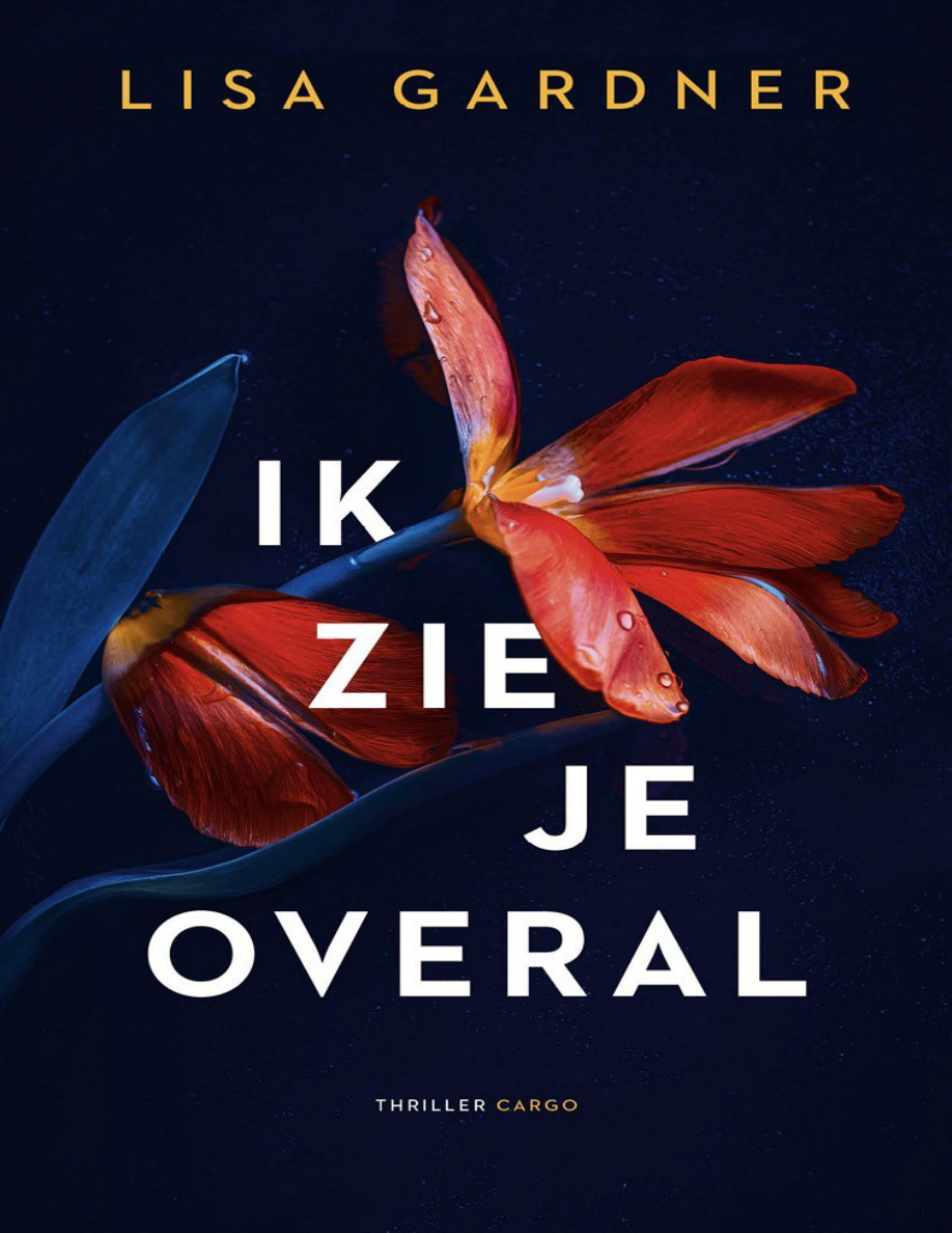 Ik zie je overal PDF Download