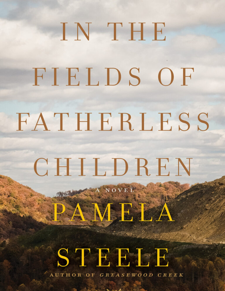 In The Fields of Fatherless Children Pamela Steele Kitap Kapağı