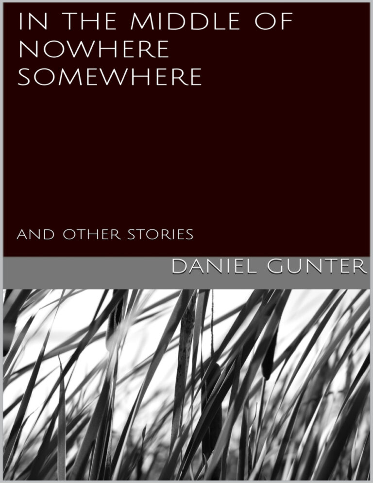 In the Middle of Nowhere Somewhere Daniel Gunter Kitap Kapağı