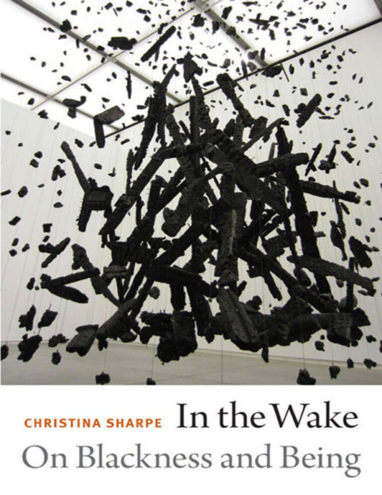 In the wake On blackness and being Christina Sharpe Kitap Kapağı
