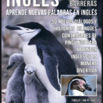 Ingles Sin Barreras Aprende Nuevas Palabras en Ingles Spanish Edition Mobile Library Kitap Kapağı