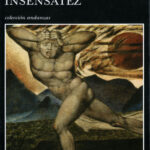 Insensatez Spanish Edition Horacio Castellanos Moya Kitap Kapağı
