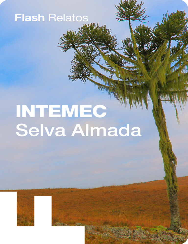 Intemec Spanish Edition Selva Almada Kitap Kapağı
