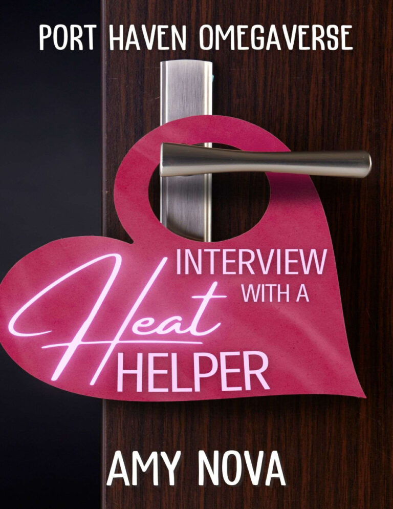Interview with a Heat Helper Amy nova Kitap Kapağı