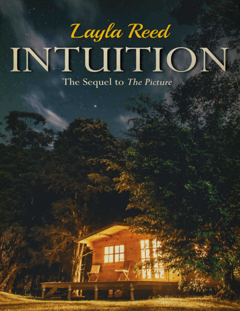 Intuition The sequel to The Picture Layla Reed Kitap Kapağı