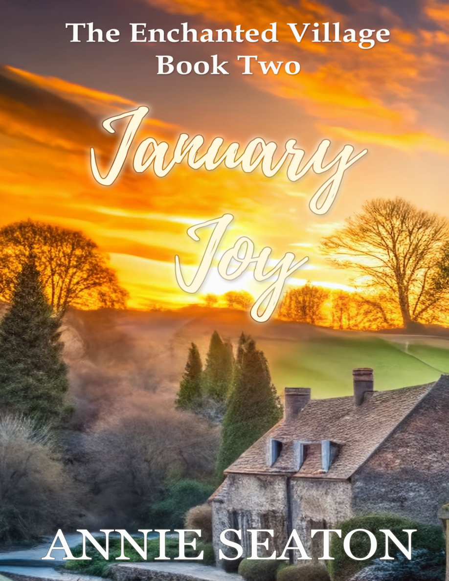 January Joy Annie Seaton Kitap Kapağı