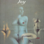Joy Spanish Edition Joy Laurey Kitap Kapağı