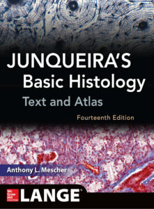 Junqueira’s Basic Histology Text and Atlas Anthony L Mescher Z Library Kitap Kapağı