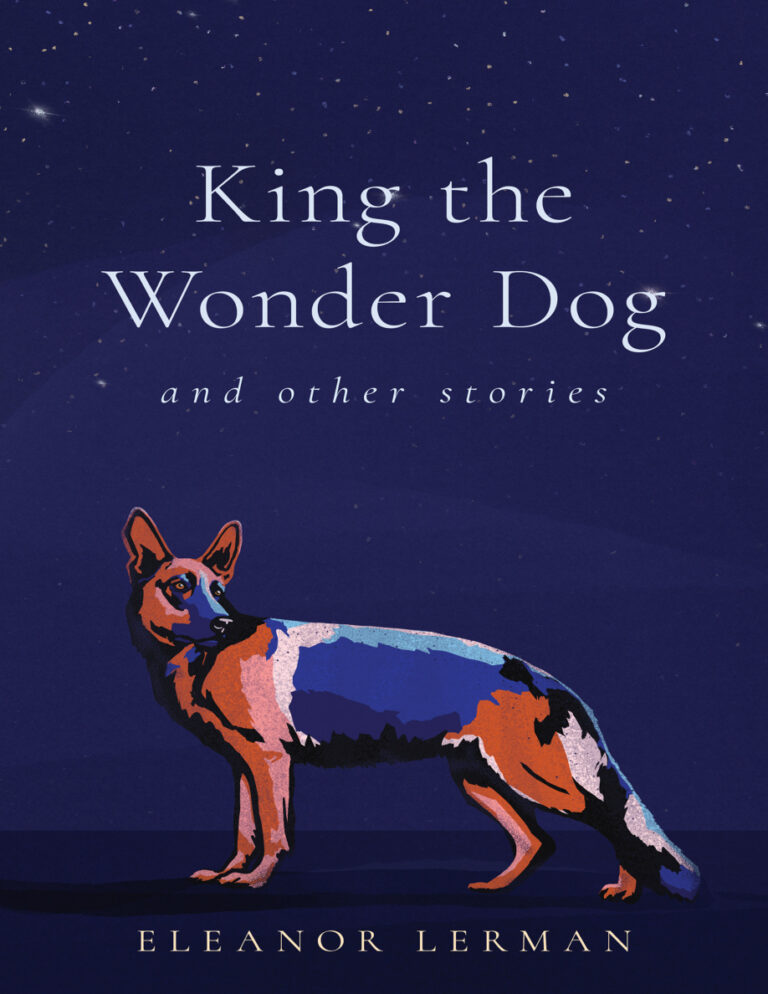 King the Wonder Dog Eleanor Lerman Kitap Kapağı