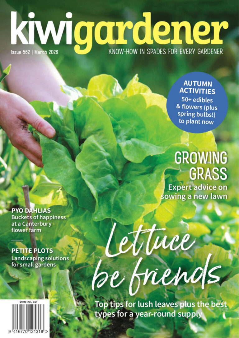 Kiwi Gardener Issue 562 March 2026 Kiwi Gardener Kitap Kapağı