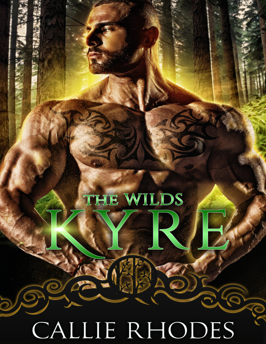 Kyre PDF Download