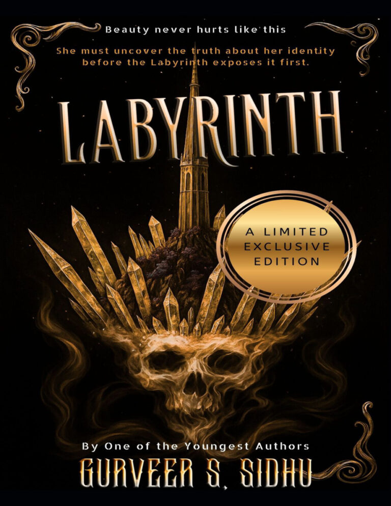 LABYRINTH Gurveer S Sidhu Kitap Kapağı