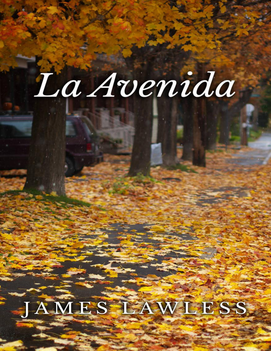 La Avenida PDF Download
