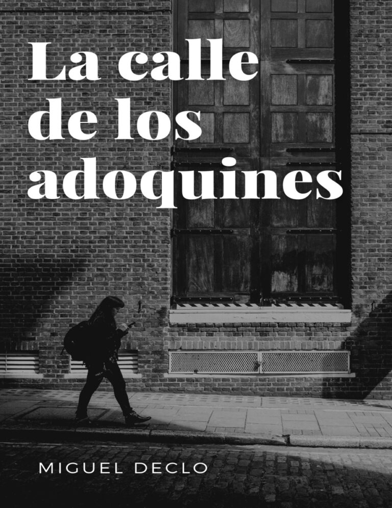La calle de los adoquines Spanish Edition Miguel Declo Kitap Kapağı