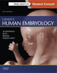 Larsens Human Embryology Gary C Schoenwolf, Steven B Bleyl etc Z Kitap Kapağı