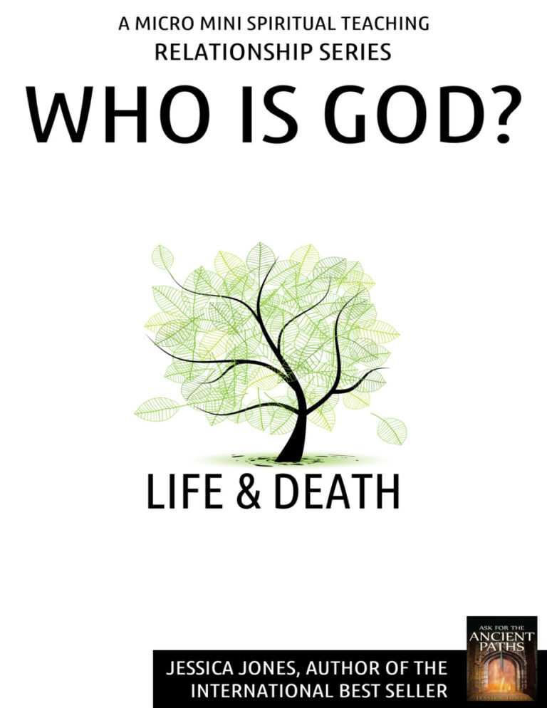 Life n Death Jessica Jones Kitap Kapağı