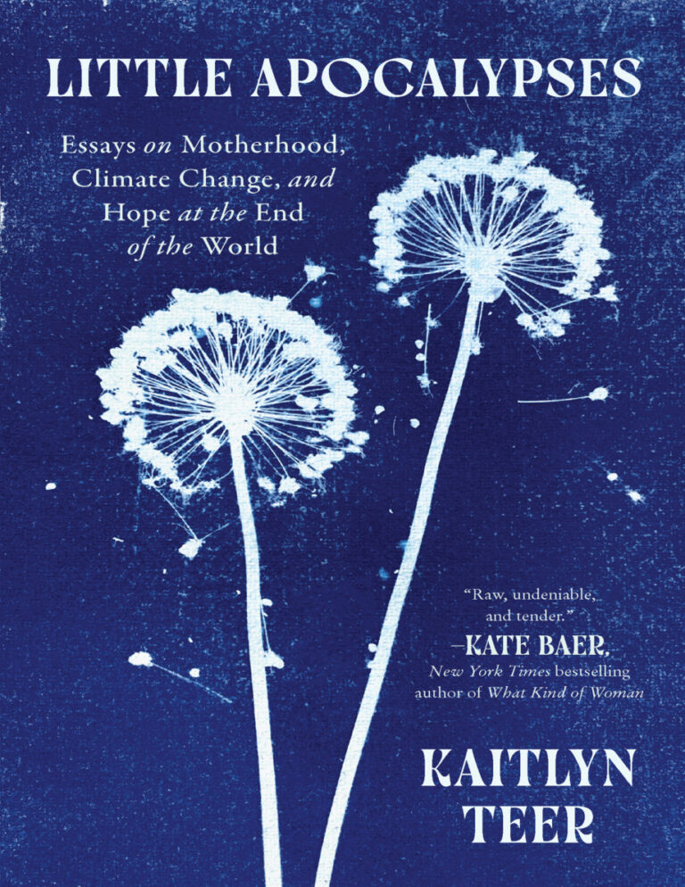 Little Apocalypses Kaitlyn Teer Kitap Kapağı