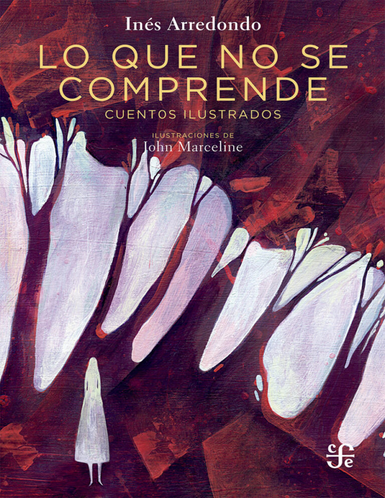 Lo que no se comprende Spanish Edition Ines Arredondo Kitap Kapağı