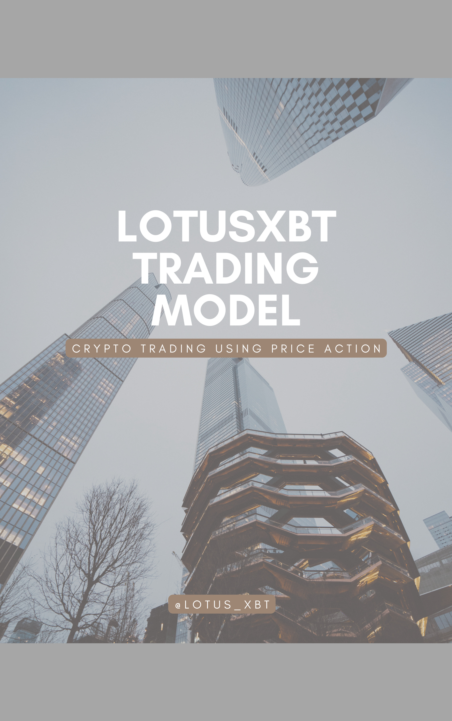 Lotus MMXM Trading Model 1.2 PDF Download