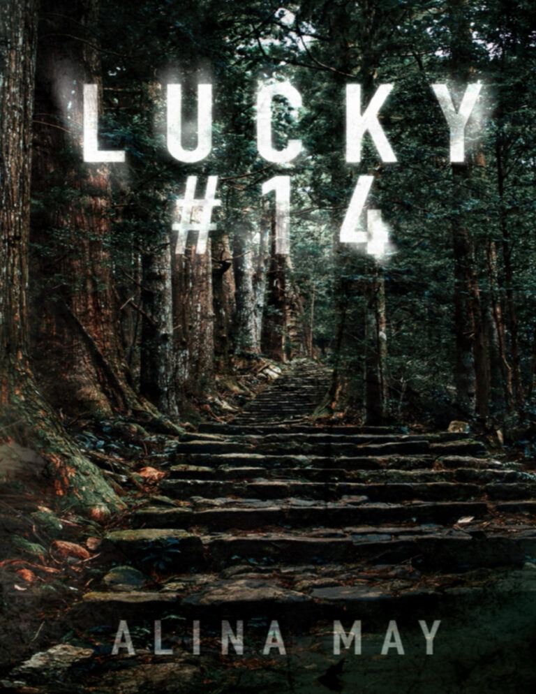 Lucky 14 Alina May Kitap Kapağı