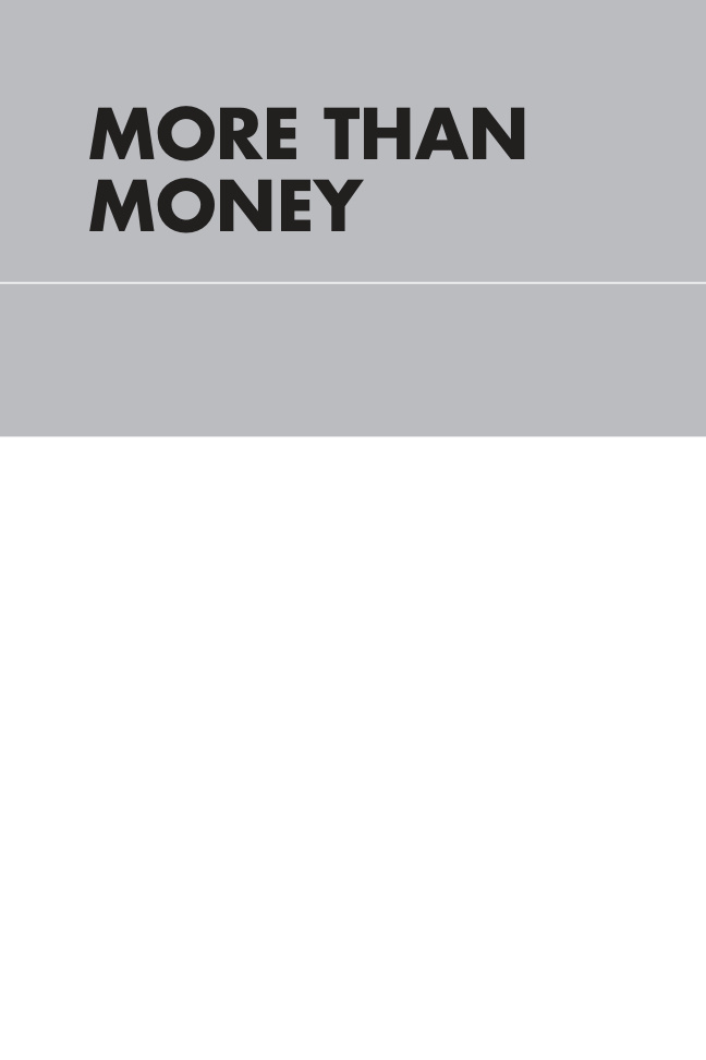 MORE THAN MONEY A Guide to Sustaining Kitap Kapağı