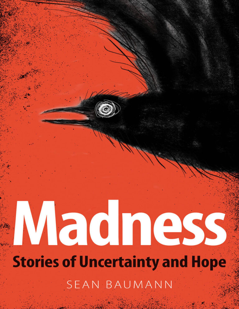 Madness Stories of Uncertainty and Hope Sean Baumann Kitap Kapağı