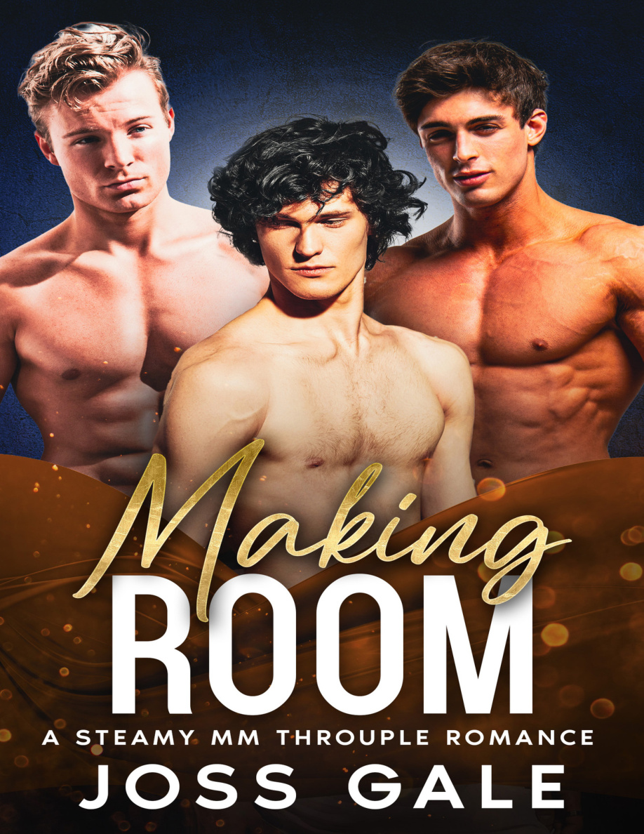 Making Room PDF Download