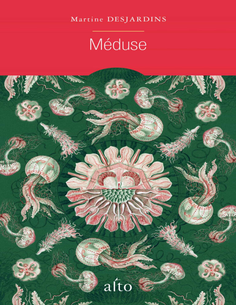 Martine Desjardins Dutch Edition Meduse Kitap Kapağı