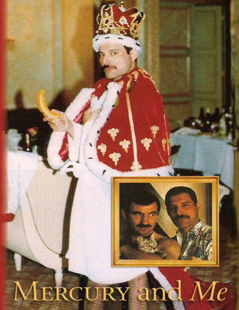 Mercury and Me PDF Download
