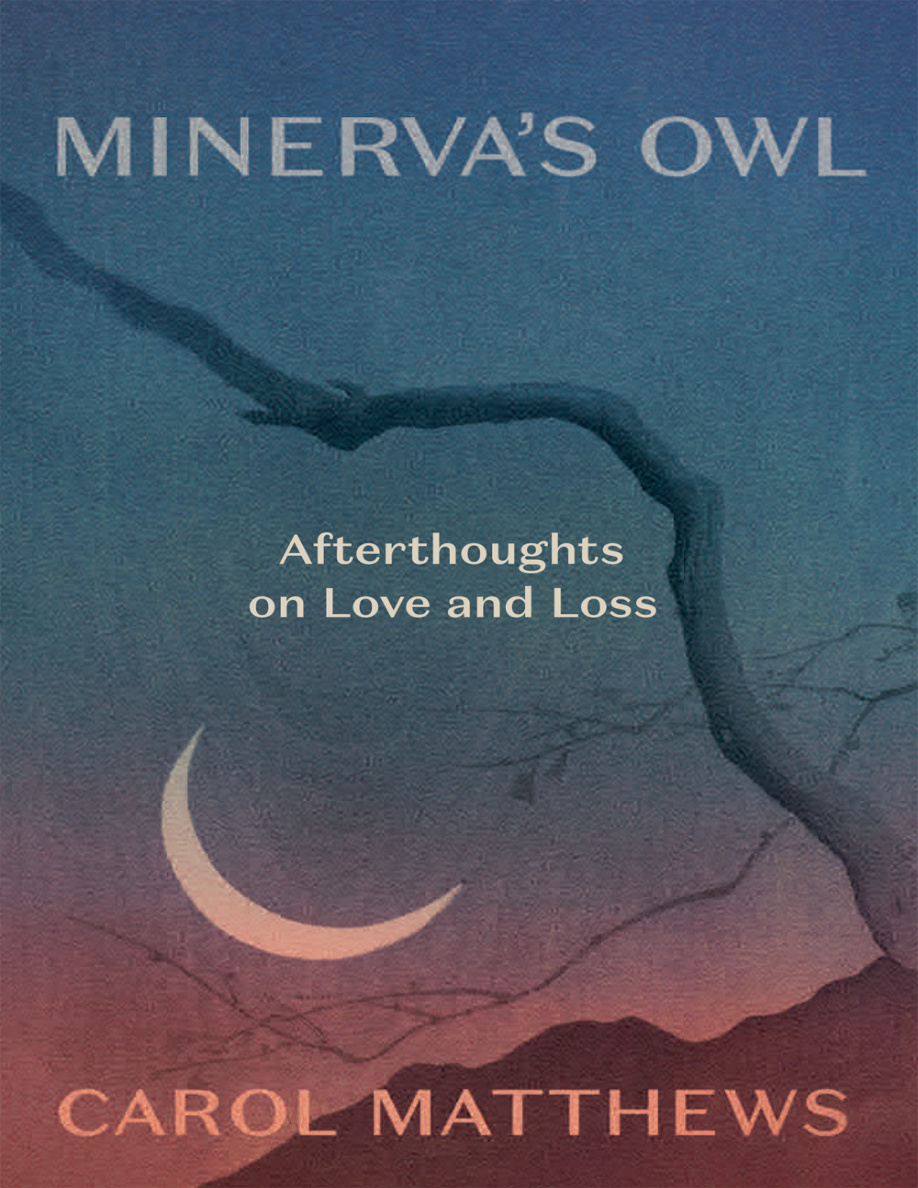 Minerva's Owl PDF Download