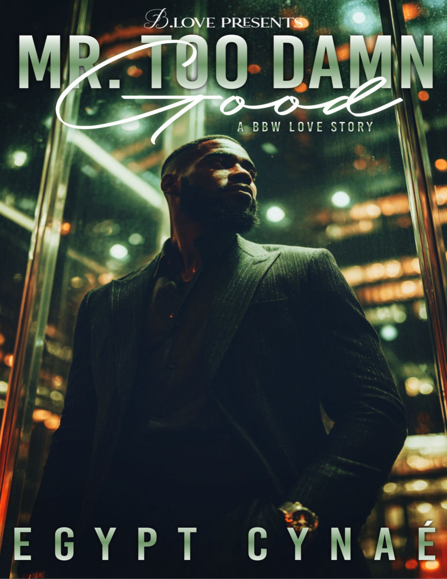 Mr Too Damn Good PDF Download
