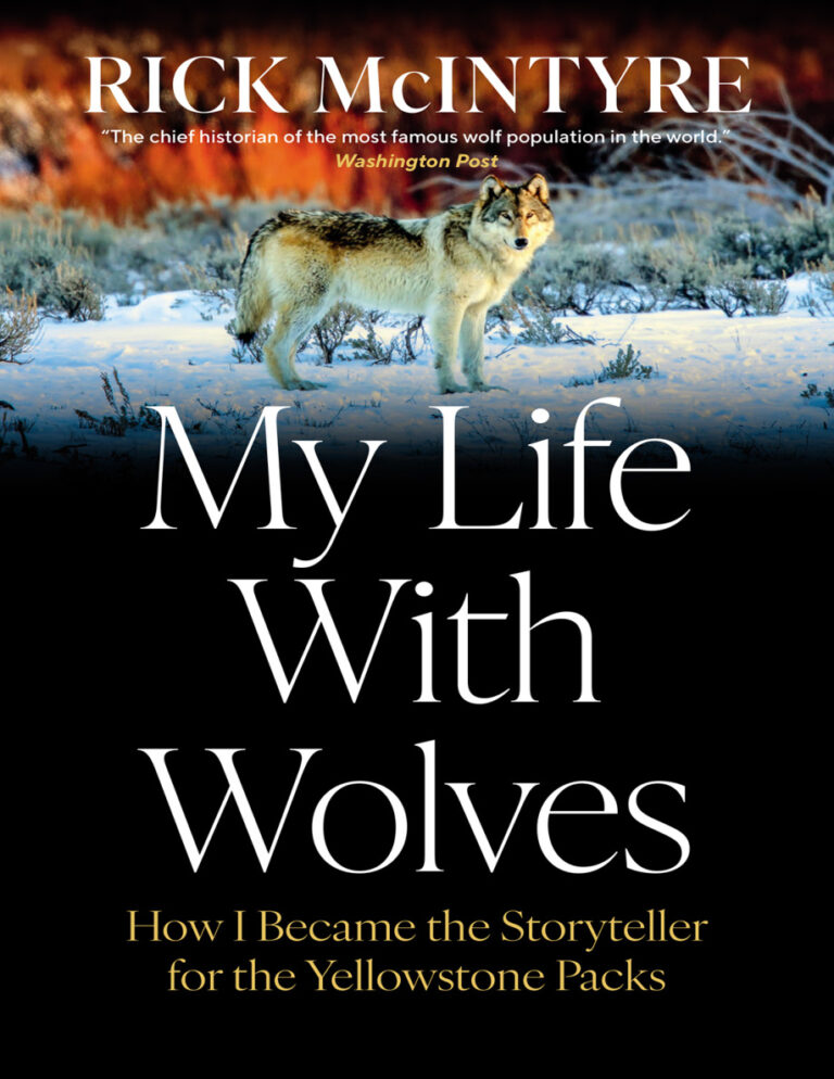 My Life With Wolves Rick McIntyre Kitap Kapağı