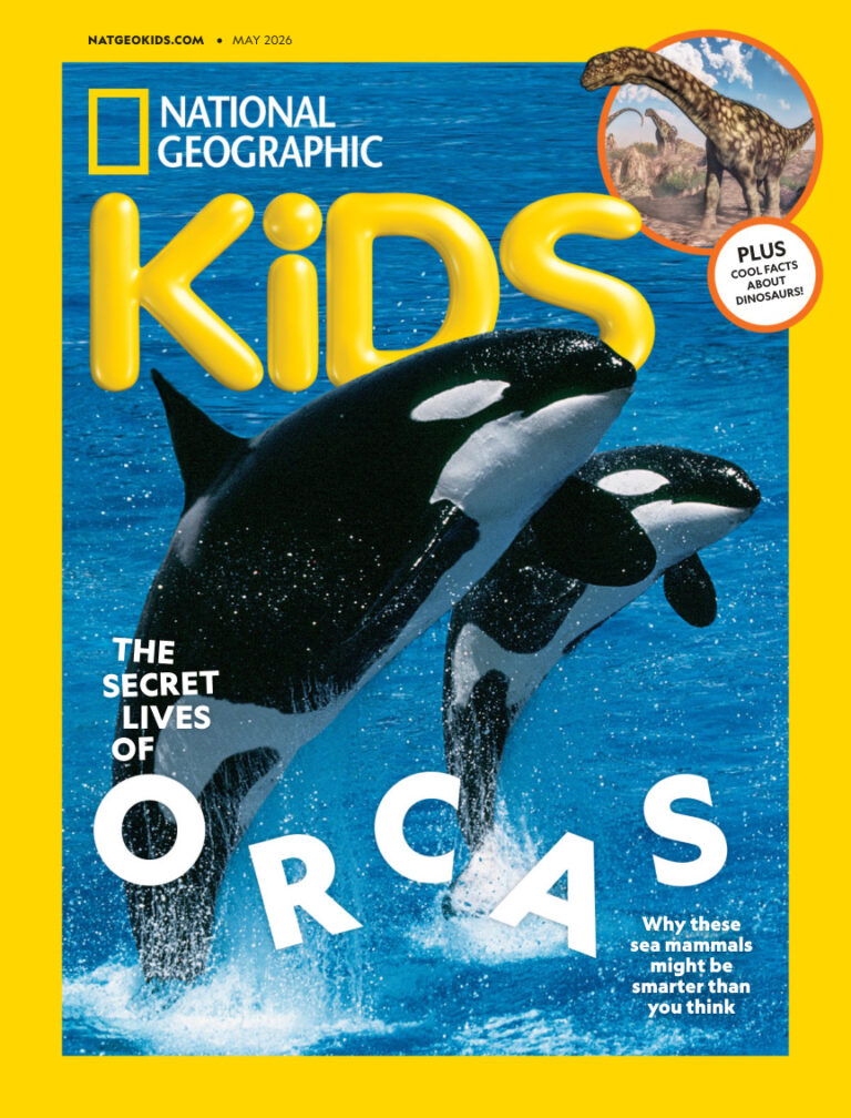 National Geographic Kids USA May 2026 National Geographic Kids USA Kitap Kapağı