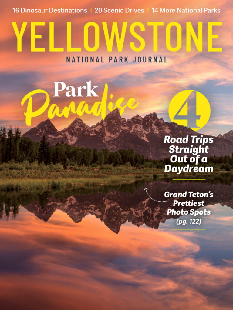 National Park Journal Yellowstone 2026 National Park Journal Kitap Kapağı