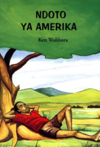 Ndoto ya amerika Ken walibora Kitap Kapağı