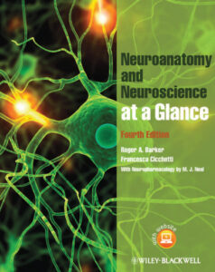 Neuroanatomy and neuroscience at a glance Roger A Barker Francesca Kitap Kapağı