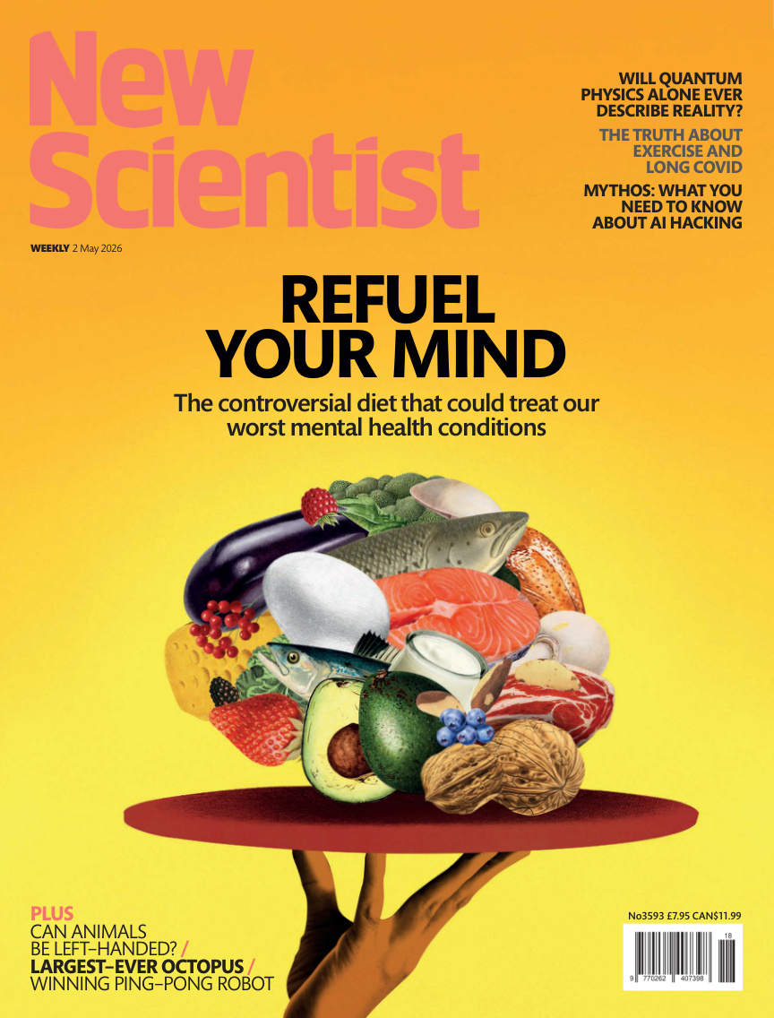 New Scientist International Edition - No 3593 02 May 2026 PDF Download