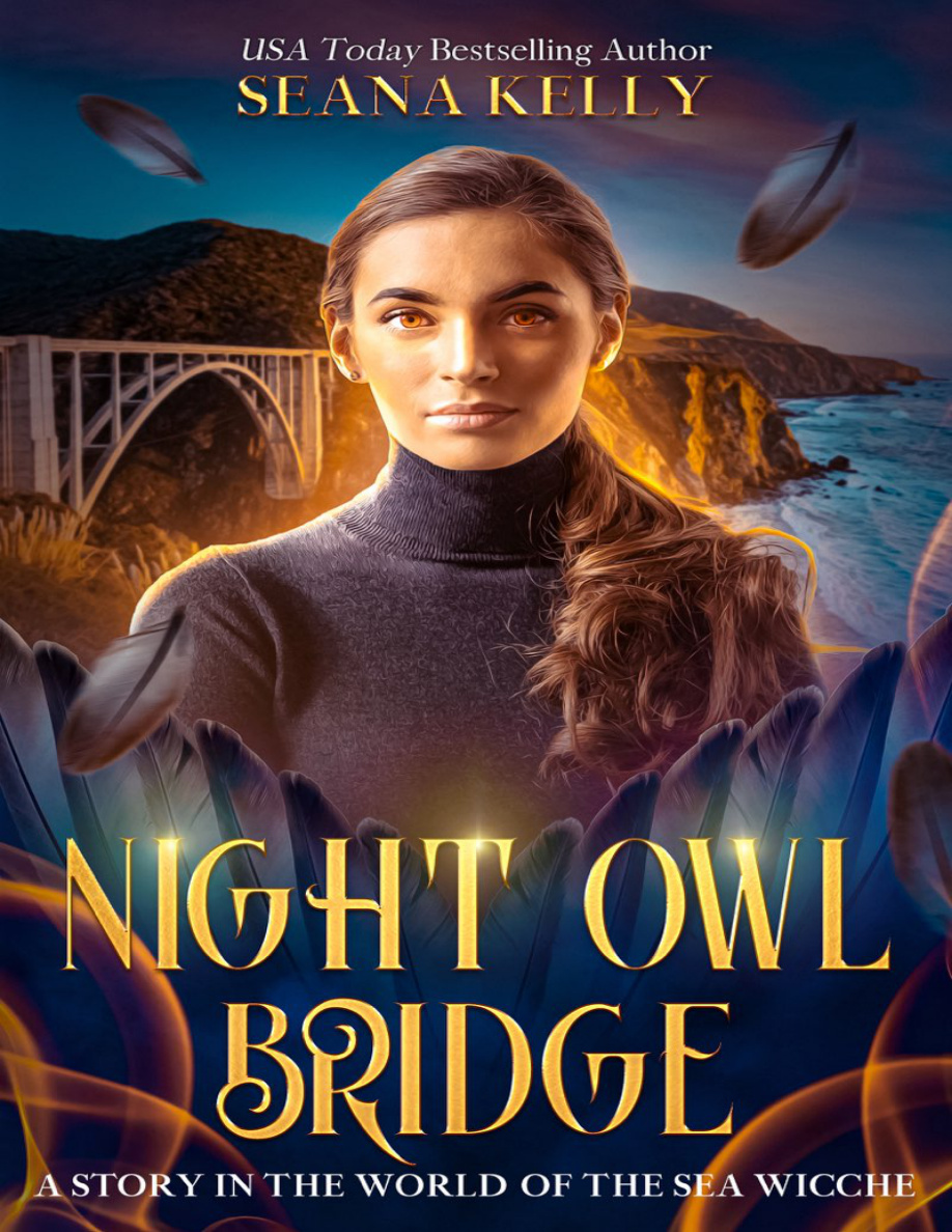 Night Owl Bridge PDF Download