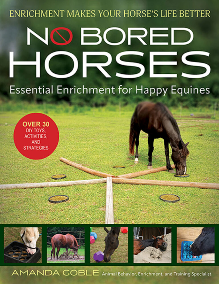No Bored Horses Amanda Goble Kitap Kapağı