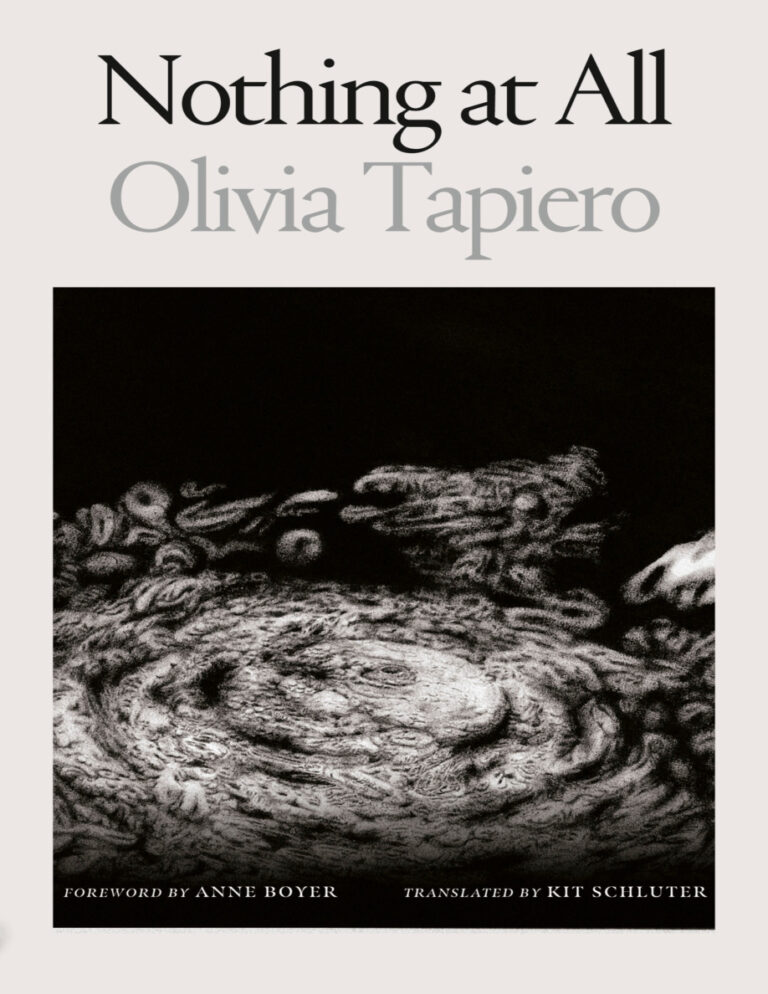 Nothing at All Olivia Tapiero Kitap Kapağı