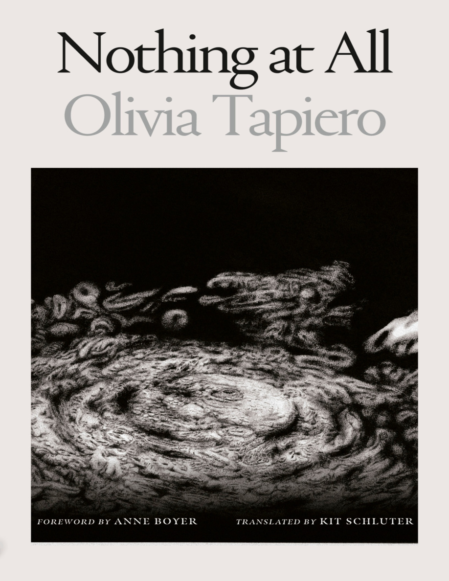 Nothing at All PDF Download