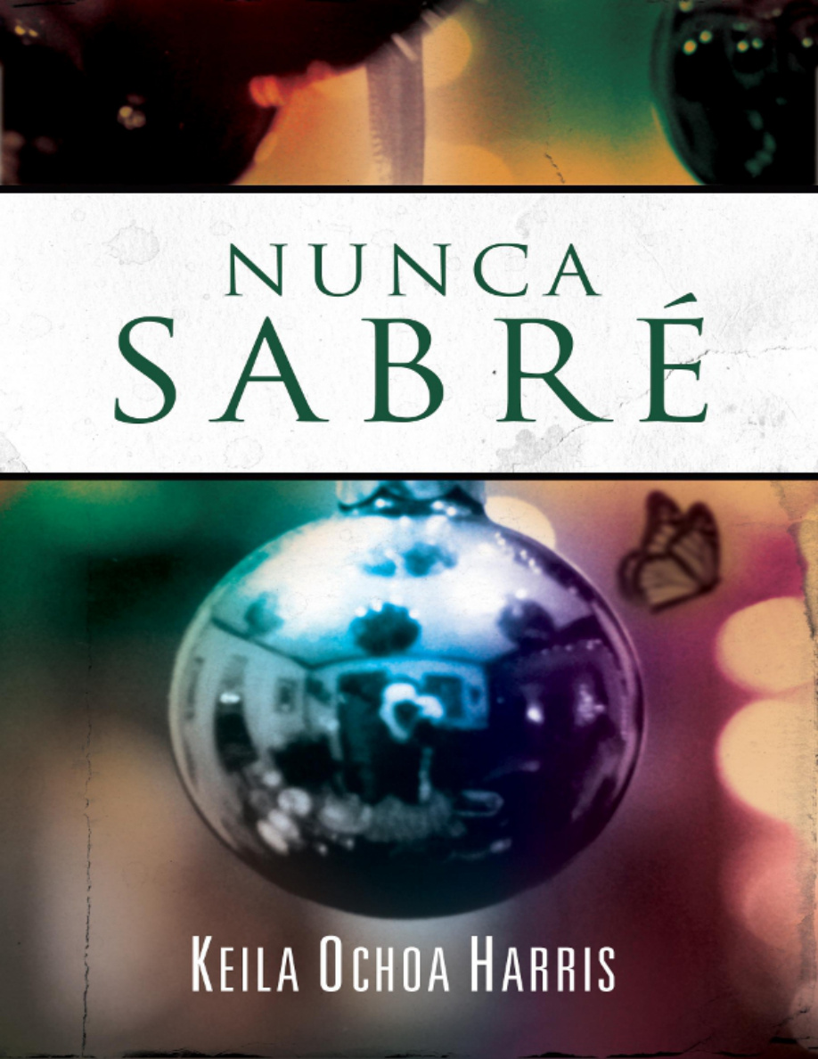 Nunca sabré PDF Download