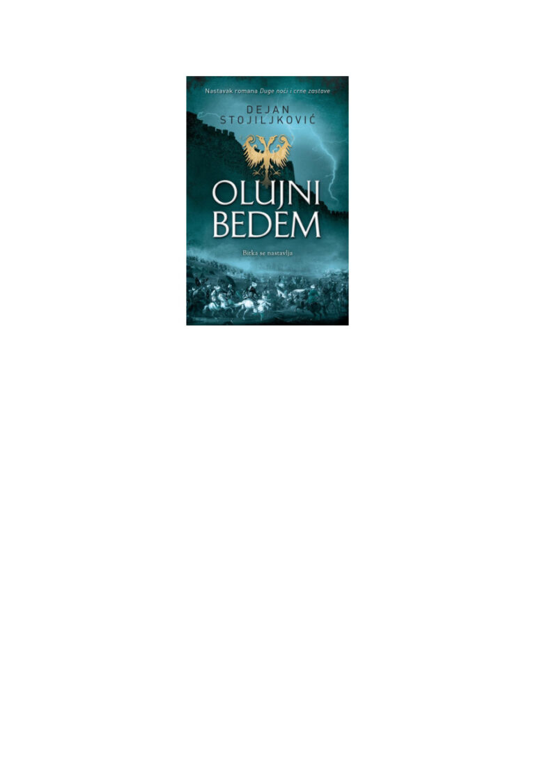 Olujni bedem Dejan Stojiljkovic Kitap Kapağı