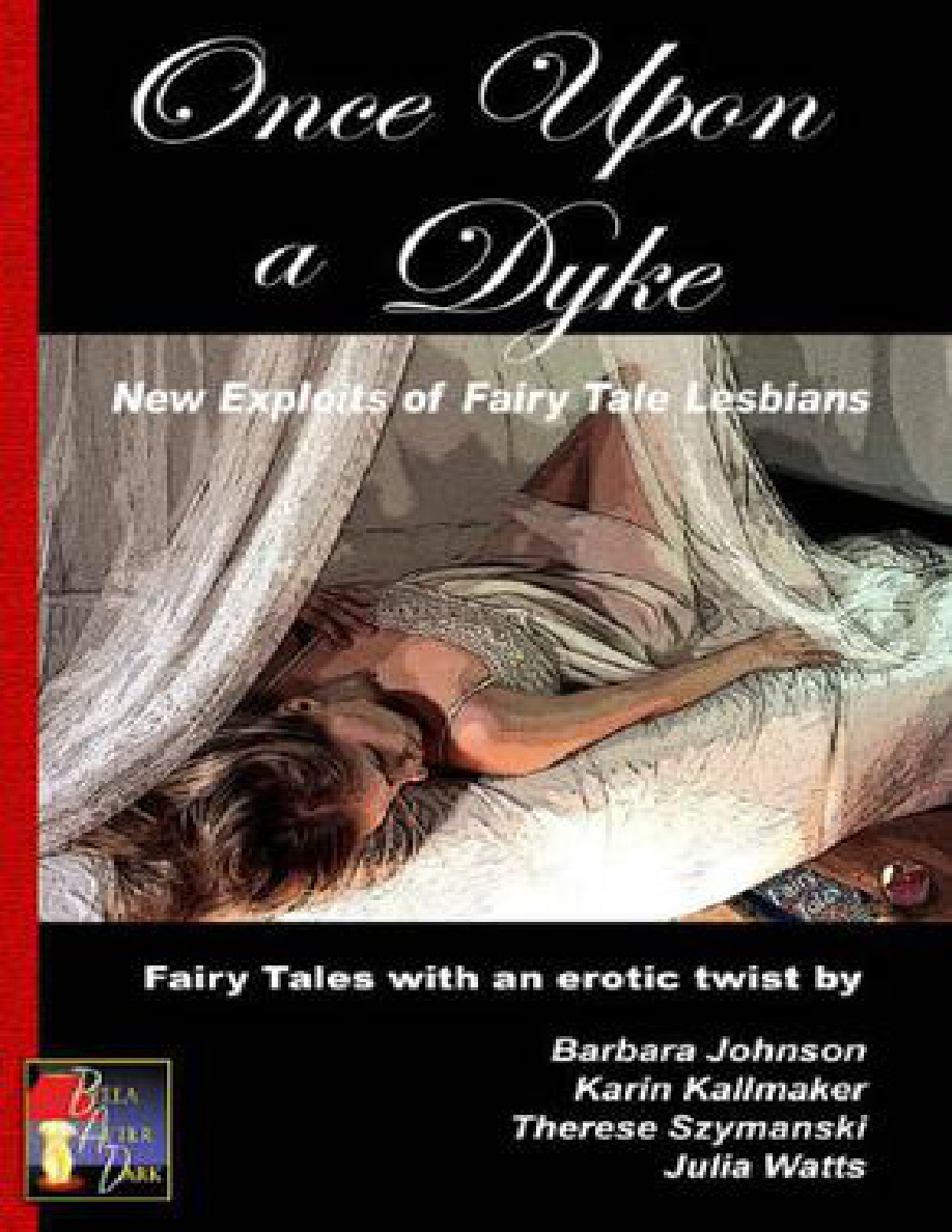 Once upon a Dyke Barbara Johnson Kitap Kapağı