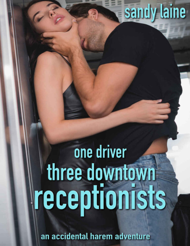 One driver three downtown receptionists Sandy Laine Kitap Kapağı