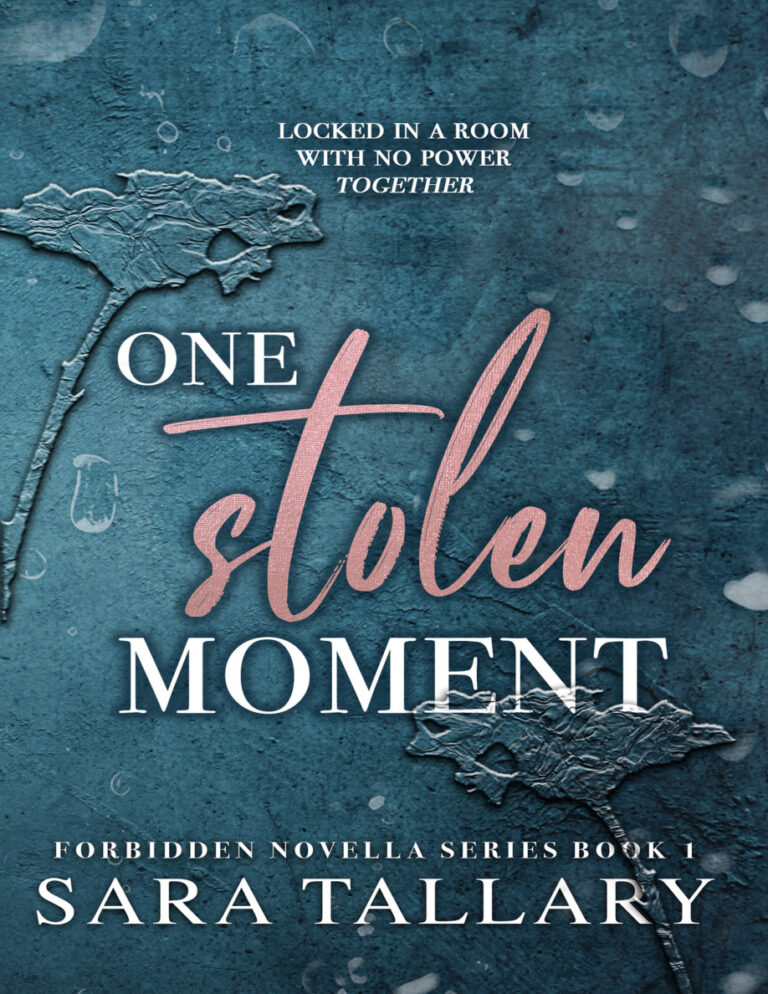 One stolen moment Sara tallary Kitap Kapağı